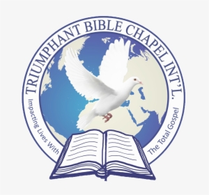 Tbci Logo New 2,5 Klein - Globe #2385522