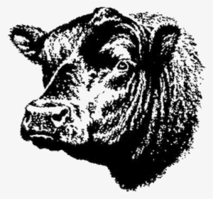 Custom Slaughter - Angus Beef #2385686