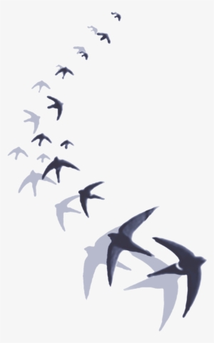 A Cualquier Persona Que Le Preguntemos Sobre La Divinidad - T-shirt #2385709