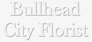 Stadium Australia #2386056