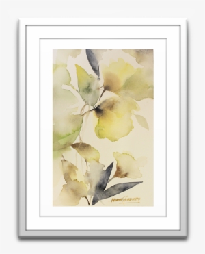 Resplandor Nº - Garden Roses #2387135