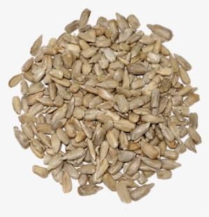 Semillas De Girasol - Ofra Highlighter #2387237