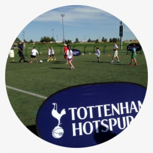 Chauncy School #2388063