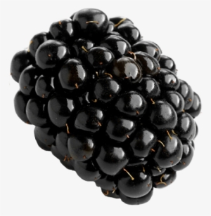 Blackberry Png Picture #2388815 Blackberry Png Picture #2388815