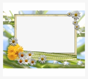 Conniff, Ray - Love Songs (cd) #2390458