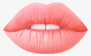 Freetoedit Ftestickers Lips Labios Boca Mouth Lipstick - Lime Crime Velvetines - Moonstone #2390911