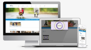 Workplace Wellness #2390913