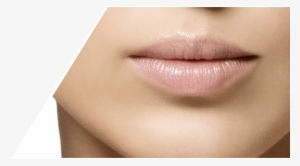 Labios - Lip #2391034