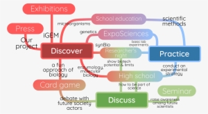 Citizens About Their Capability Of Exchange And Acting - Science #2391208