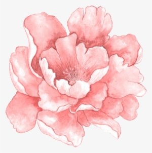 Free Watercolour Flower Png #2391486