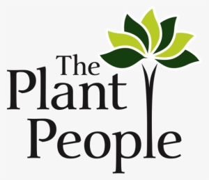 Outcome Focused #2391745