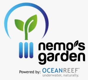 Growing Herbs And Vegetables Under The Sea #2392173