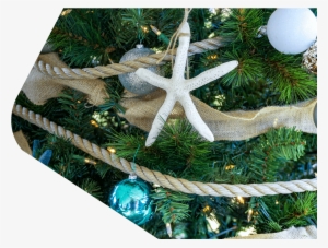 Conoce Más - Christmas Ornament #2392288