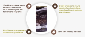 Pergamino Gourmet Beneficios #2393282