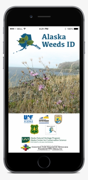 Real-time Point Distribution Maps Centered On Your - Minecraft: Pocket Edition #2393368