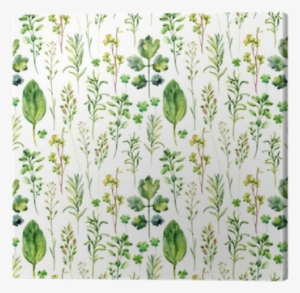 Watercolor Meadow Weeds And Herbs Seamless Pattern - Meadow Weed Watercolor #2393467