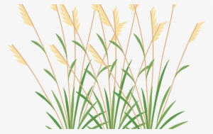 Icon 2 Weeds - Grasses And Weeds Clipart #2393618