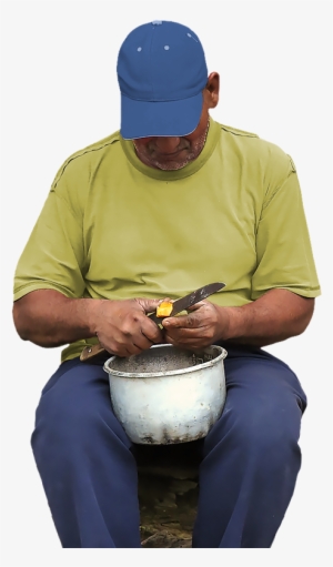 Borda Header Figure Cutting-fruit - Fruit #2393644