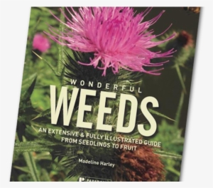 Wonderful Weeds - Wonderful Weeds By Madeline Harley #2393646