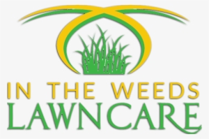 Follow - Lawyer #2393669