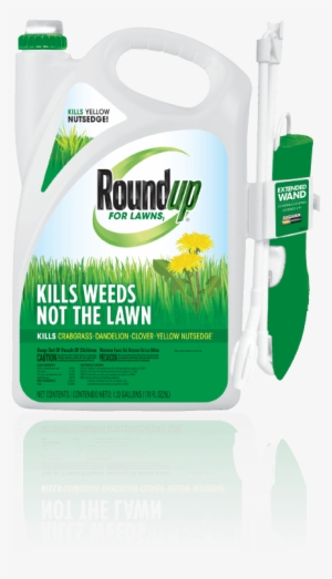 Roundup For Lawns • Weed Killer - Roundup For Lawns Rtu Wand Northern 1.33 Gallon #2393716