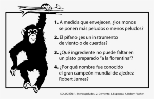 Preguntas De Mente - Home Decor Monkey Removable Wall #2395251