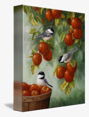 "apple Harvest Chickadees" By Crista Forest, Seattle - Crista Forest - Apple Harvest Chickadees Canvas #2396703