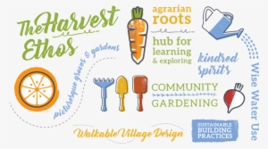 Https - //harvestatlimoneira - Com/wp/ - - /shared/2018 - .com #2397353