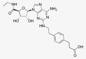 File - Cgs21680 - Cgs 21680 #2397378