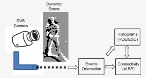 The Image Shows The Hoe, Esc And Elbp Feature Extraction - Feature Extraction #2397473