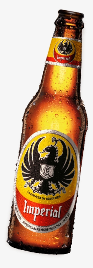 Enjoy Imperial Cerveza - Imperial Beer - 12 Fl Oz Bottle #2398347