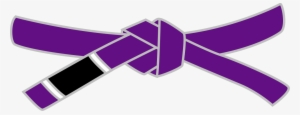 Bjj Purple Belt - Black Belt 7 Dan #2399489