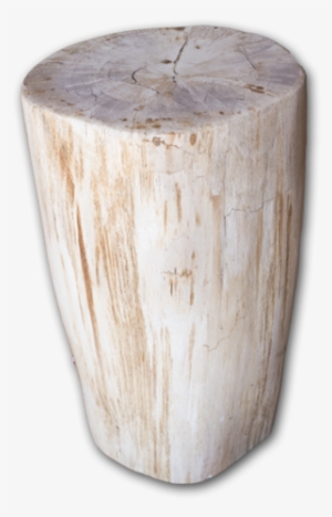 Petrified Wood Log Stool Pf-2096 #2399758