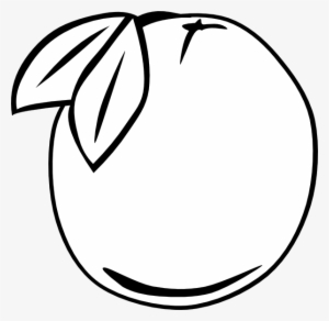 Orange Outline Fruit Svg Clip Arts 600 X 584 Px #240252