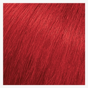 More - Red Hair #240336