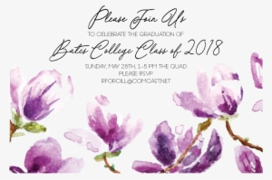 Graduation Ceremony #241063