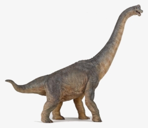 Dinosaurs Png Photo - Papo Dinosaurs - Brachiosaurus 55030 #241154