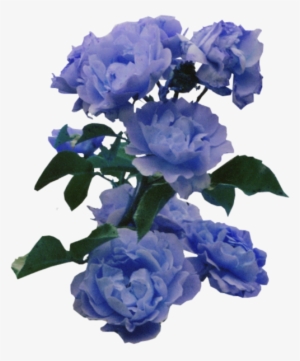 68 Images About 💐tumblr Flower Png💐 On We Heart It - Flores Azules Png #241392