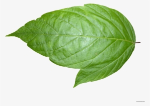 Weed Leaf Transparent Background Download - Leaf Transparent Background #241393
