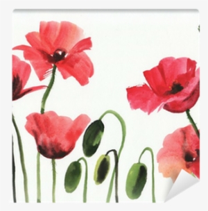 Watercolor Painting Of Red Poppies Wall Mural • Pixers® - Papavero Watercolor #241643