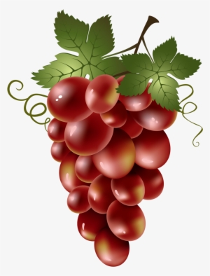 Яндекс - Фотки - Red Grapes Clip Art #242281