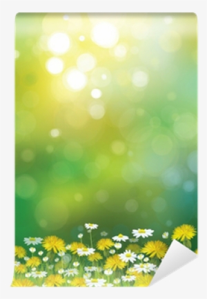 Vector Sunshine Background With Chamomiles And Dandelions - Komar Wall Mural Xxl #242343
