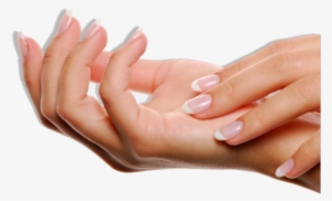 Nails Png Images - Acrylic Nails Png #242538