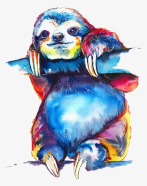 Colorful Sloth #242913