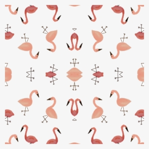 Greater Flamingo #243026