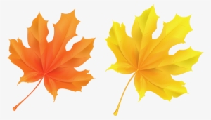Leaves Clipart Transparent - Orange Leaves #243982