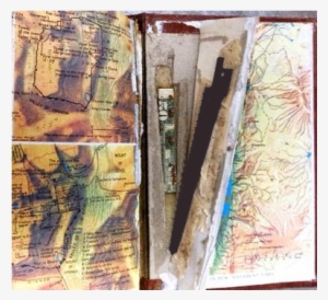 The Craziest Stuff People Tried To Sneak Onto Aeroplanes - Airport #244007