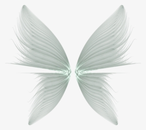 Angel Halo Png For Kids - Transparent Background Wings Png #244375