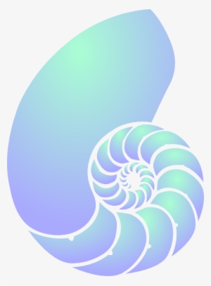 Clip Art Transparent Stock Green And Blue Nautilus - Nautilus Shell Clipart #244512