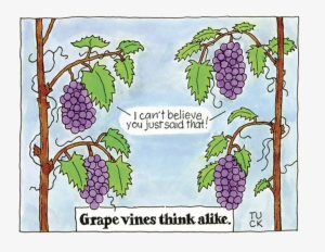 Grape Vines #244634